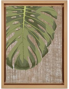 Kép 36x46 cm Monstera – Wallity
