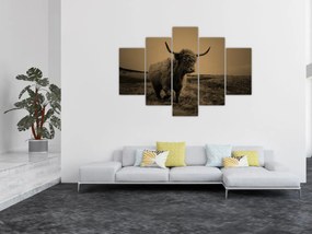 Kép - Skót tehén menekül (150x105 cm)