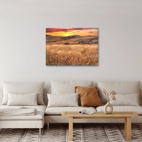 Mező képe (70x50 cm)