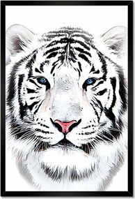 Poszterek keretben 40x60 Tigrisfej
