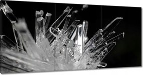 Festmények 120x60 Makrofotó MacroFoto