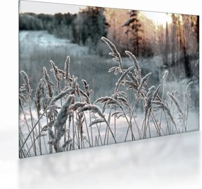 Üveg kép - Fagyott rét (70x50 cm)