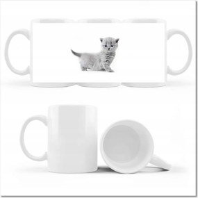 Cica fényképes bögre Cicák Macskák