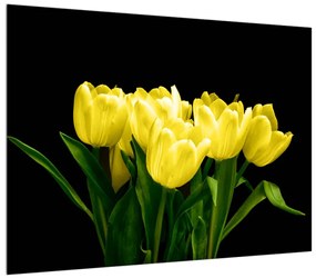 Sárga tulipánok képe (70x50 cm)