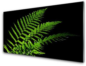 Üvegkép Fern páfrányok levelei 100x50 cm 2 fogas