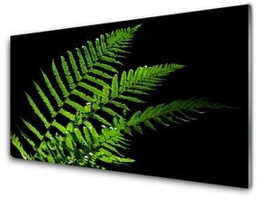 Üvegkép Fern páfrányok levelei 100x50 cm