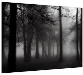 Kép - erdő a ködben (üvegen) (70x50 cm)
