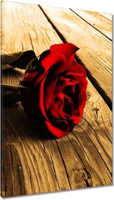 Vászonkép 80x120 Rózsa szépia deszkákon