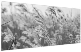 Kép - Fű a szélben (120x50 cm)