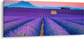 Kép - Levendula mező (120x50 cm)