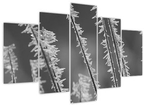 Kép - Fagyos hideg (150x105 cm)