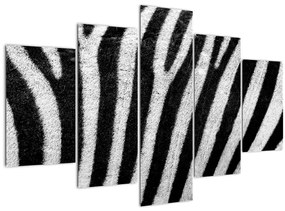 Kép egy zebra bőrről (150x105 cm)