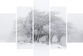 Kép - fehér tél (150x105 cm)