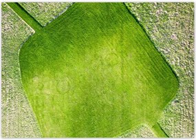 Poszterek 100x70 Fű mező rét út