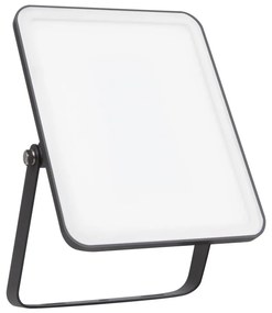 Ledvance - LED Kültéri reflektor FLOODLIGHT ESSENTIAL LED/30W/230V IP65