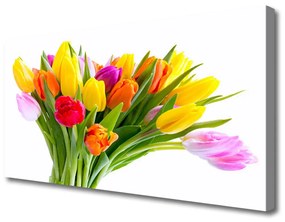 Canvas kép Tulipán virágok Plant 100x50 cm