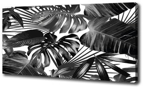 Fali vászonkép Trópusi levelek oc-83345208