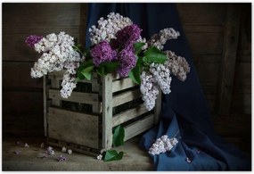 Poszterek 155x105 Doboz nélkül