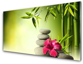 Üvegkép Virág bambusz Zen kövek 100x50 cm