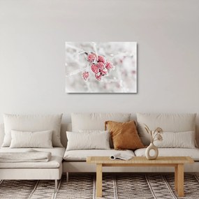 Kép - Fagyasztott gyümölcsök (üvegen) (70x50 cm)