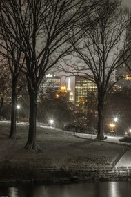 Poszter 30x45cm Central Park éjszaka, Assaf Frank