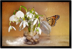 Poszterek keretben 60x40 Pillangó és hóvirág