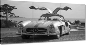 Festmények 120x60 Mercedes Gullwing