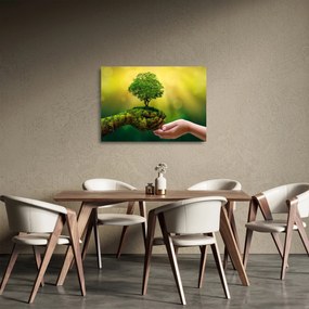 Kép - anyaország (üvegen) (70x50 cm)