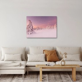 Kép - Fák a hótakaró alatt (70x50 cm)