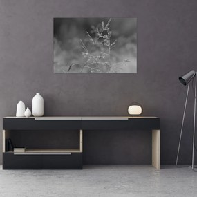 Kép - Vidéki rét (90x60 cm)