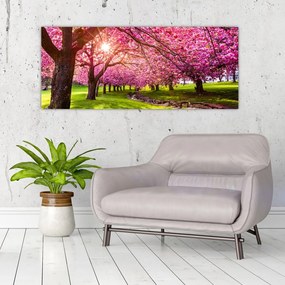 A virágzó cseresznye képe, Hurd Park, Dover, New Jersey (120x50 cm)