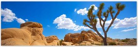Poszterek 200x66 Sivatagi táj