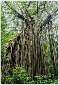 Poszterek 70x100 Tájkép Látvány