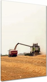 Vászonkép 80x120 Kombájn gabona betakarításhoz