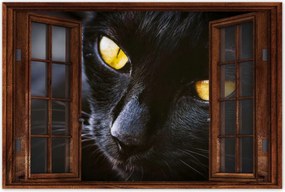 Poszterek 120x80 Cica Cicák Macskák