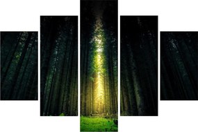 Sötét erdő képe (150x105 cm)