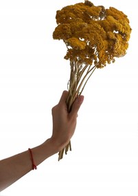 Szárított csokor Cickafark Sárga szárító váza