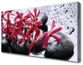 Vászonfotó Virág Stones Art 120x60 cm