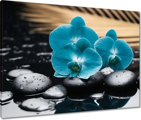 Vászonkép 80x60 Türkiz orchidea Virág