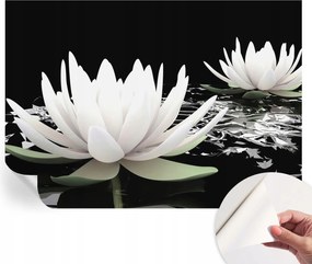 Öntapadós fotótapéta Nappaliba és Hálószobába Víz virágok 312x219 cm