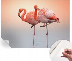 Öntapadós fotótapéta Divatos Finom flamingók 312x219 cm