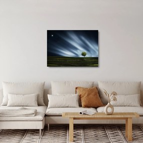 Az aurora borealis képe egy lápvidéken (üvegen) (70x50 cm)