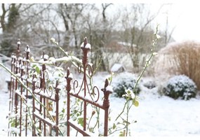 Fém növénytámasz Lilly – Esschert Design