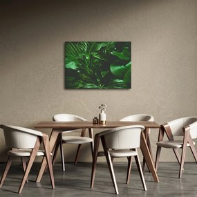 Kép - Pálmalevél (70x50 cm)