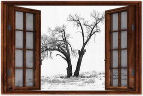 Poszterek 120x80 Magányos fa