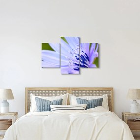 Kép - Virág (90x60 cm)