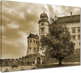 Vászonkép 50x40 Krakkó Wawel Műemlékek