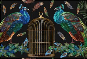 Flizelin tapéta Flizelin fali prémium páva kép 104x70 Ragasztó