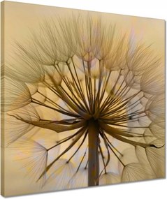 Vászonkép 40x40 Pitypang Virág Virágok