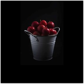Poszterek 70x70 Piros alma egy vödörben